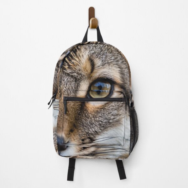 Item preview, Animals - Tabby Cat, Hypnotic Amber Gaze designed and sold by DoodyPets.