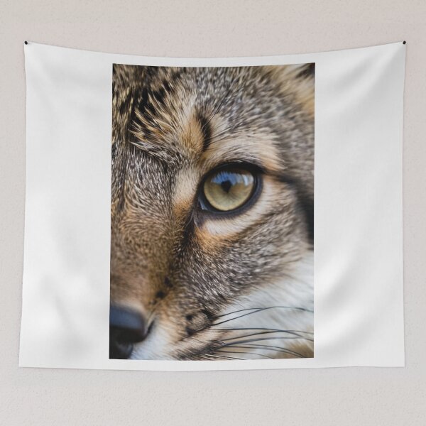 Item preview, Animals - Tabby Cat, Hypnotic Amber Gaze designed and sold by DoodyPets.