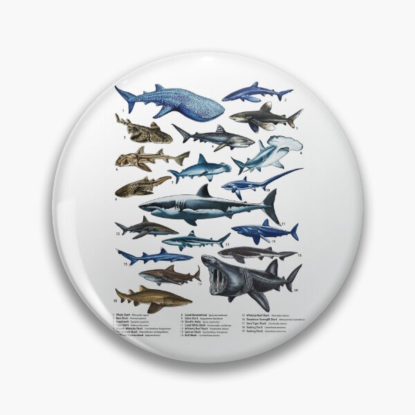 Item preview, Comprehensive Illustrated Guide to Shark Species  designed and sold by AzalaiBubbles.