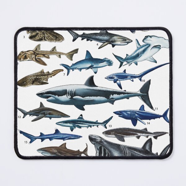 Item preview, Comprehensive Illustrated Guide to Shark Species  designed and sold by AzalaiBubbles.