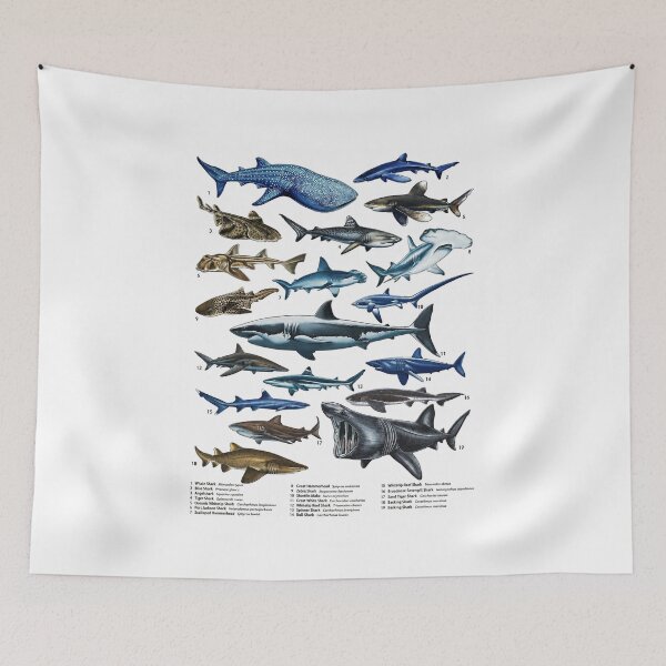Item preview, Comprehensive Illustrated Guide to Shark Species  designed and sold by AzalaiBubbles.