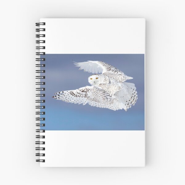 Item preview, Snowy owl in flight designed and sold by James Cumming.