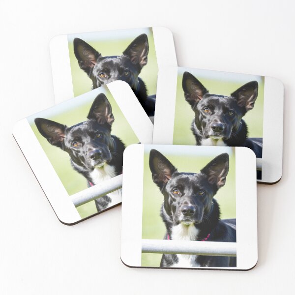 Item preview, Animals - Working Dog, Expressive Amber-Eyed Portrait designed and sold by DoodyPets.