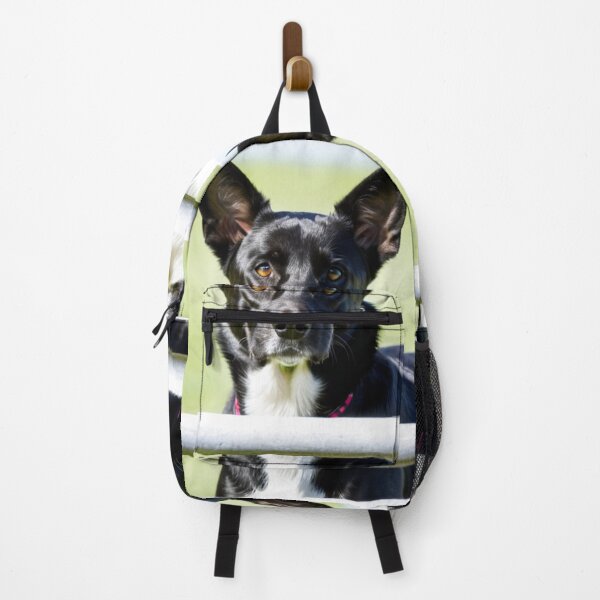 Item preview, Animals - Working Dog, Expressive Amber-Eyed Portrait designed and sold by DoodyPets.