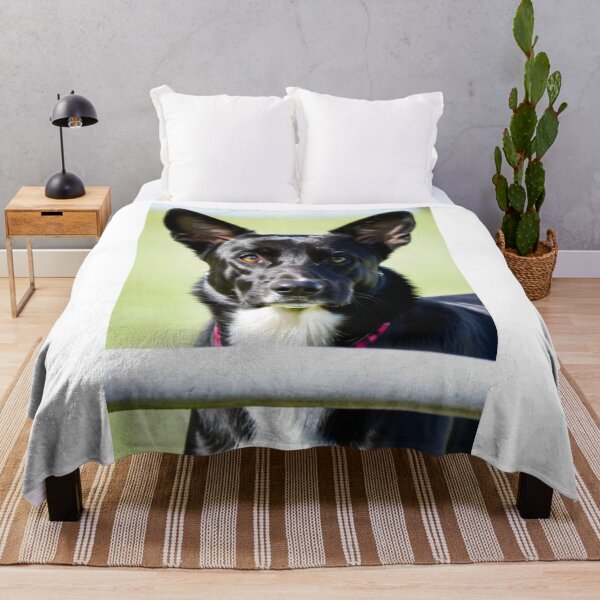 Item preview, Animals - Working Dog, Expressive Amber-Eyed Portrait designed and sold by DoodyPets.