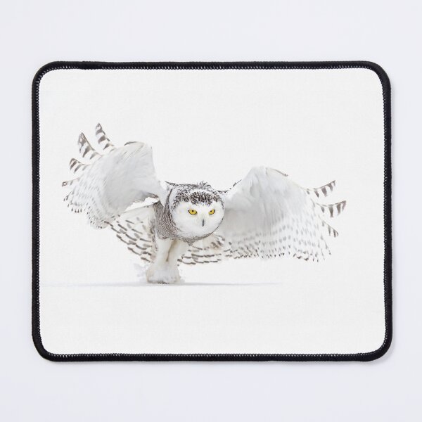 Item preview, Jazz Wings - Snowy Owl designed and sold by James Cumming.