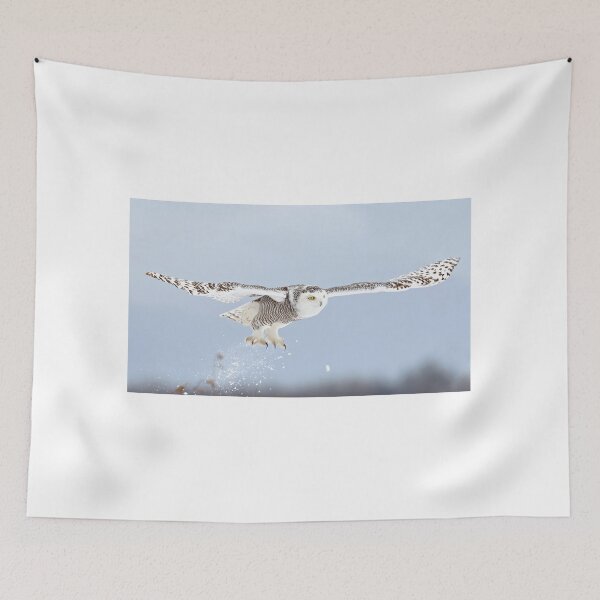Item preview, Snowy owl blast-off designed and sold by James Cumming.