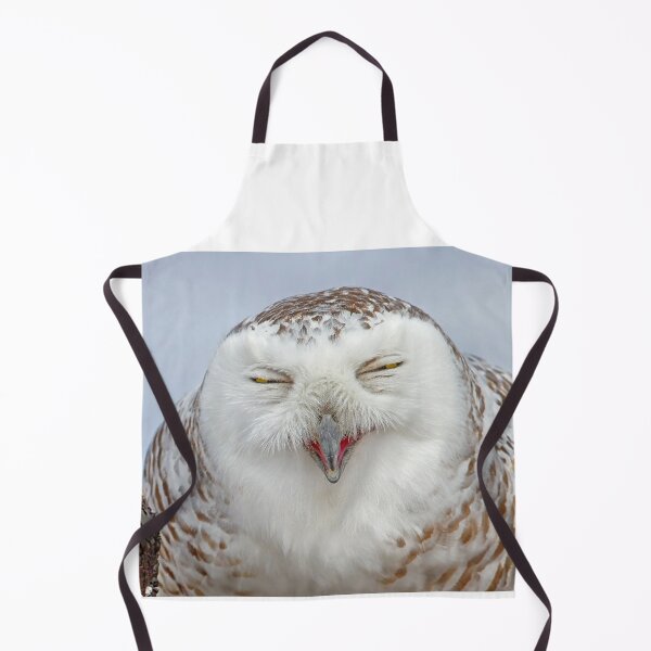 Item preview, Smiling Snowy Owl designed and sold by James Cumming.