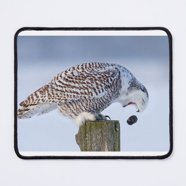 Item preview, Cough it up buddy - Snowy Owl designed and sold by James Cumming.