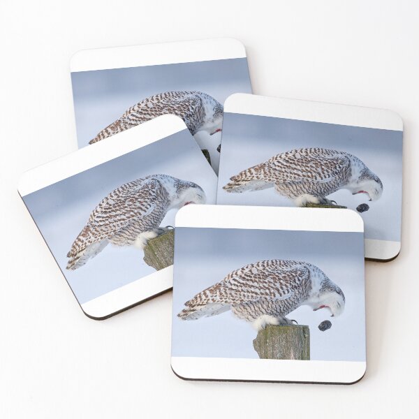Item preview, Cough it up buddy - Snowy Owl designed and sold by James Cumming.