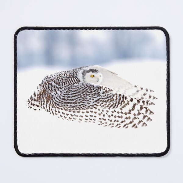 Item preview, Wings - Snowy Owls designed and sold by James Cumming.