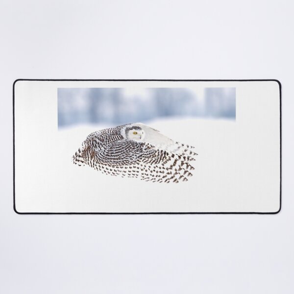 Item preview, Wings - Snowy Owls designed and sold by James Cumming.