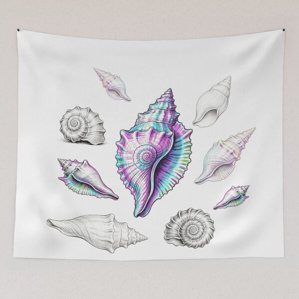 Item preview, Seashell designed and sold by wojtas90.