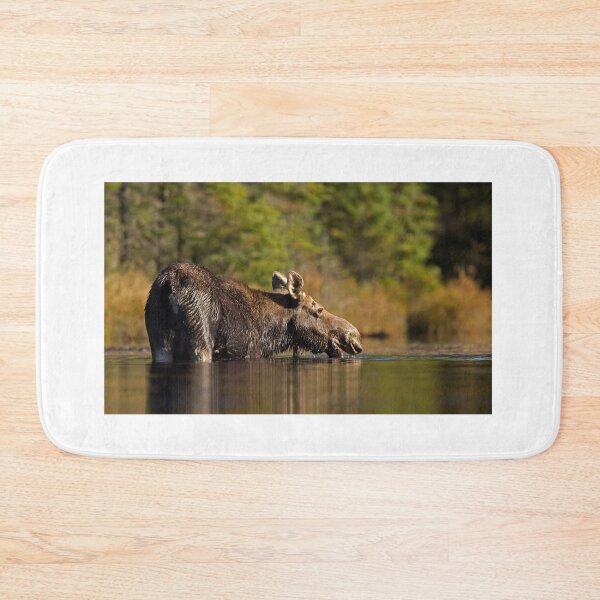 Item preview, Swimming with Moose - Algonquin Park, Canada designed and sold by James Cumming.