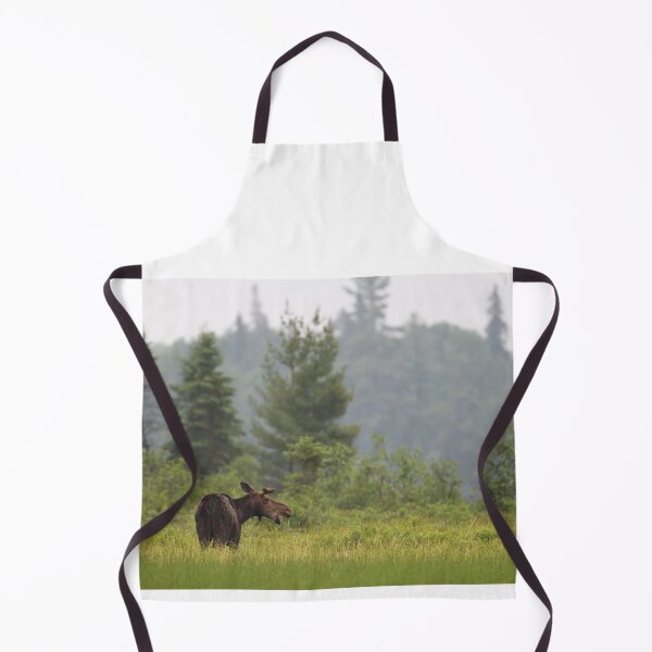 Item preview, Grassy marsh moose - Algonquin Park, Canada designed and sold by James Cumming.