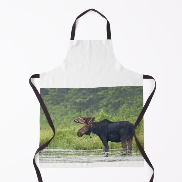 Item preview, Bull Moose - Algonquin Park, Canada designed and sold by James Cumming.