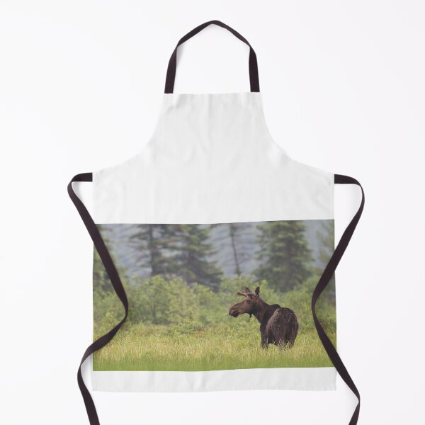 Item preview, Moose in the rain, Algonquin Park, Canada designed and sold by James Cumming.