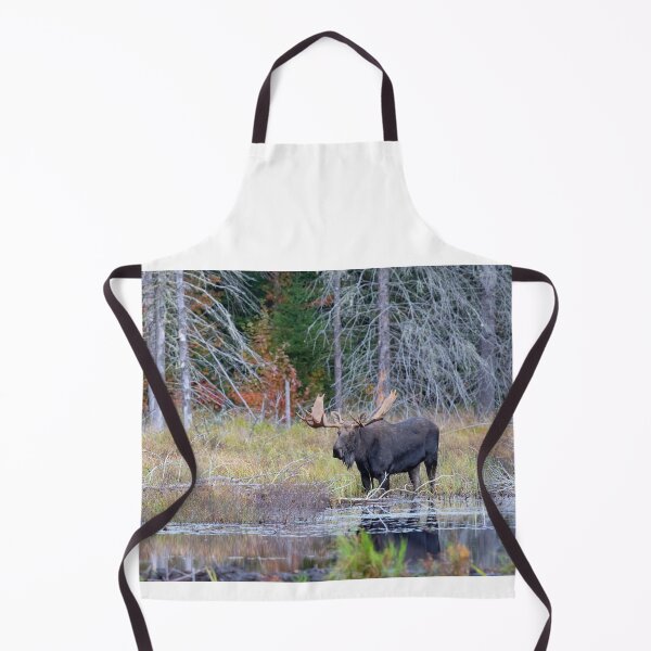 Item preview, Bull Moose, Algonquin Park designed and sold by James Cumming.