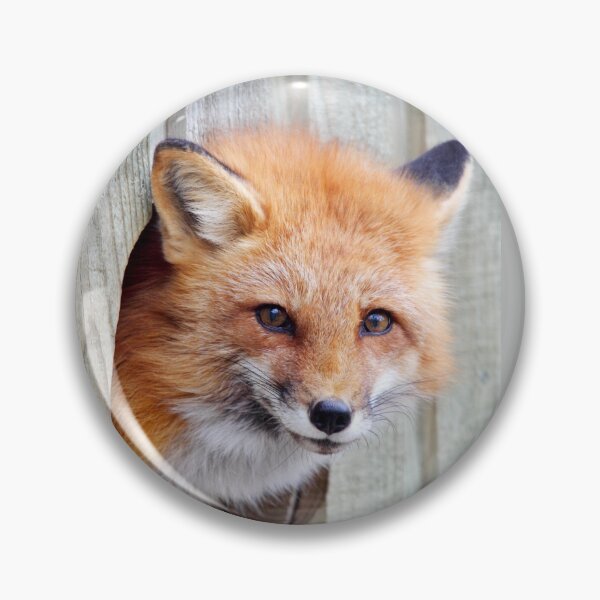 Artikelvorschau, Red Fox Hole entworfen und verkauft von James Cumming.