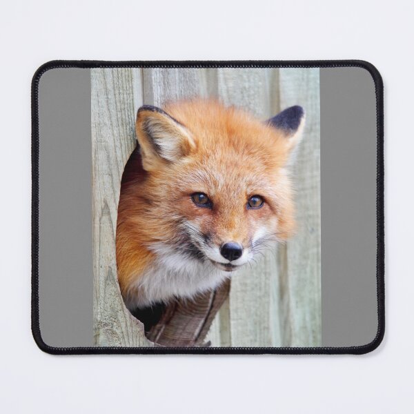 Item preview, Red Fox Hole designed and sold by James Cumming.