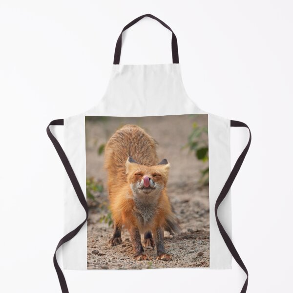 Item preview, Red Fox Stretch - Algonquin Park, Canada designed and sold by James Cumming.