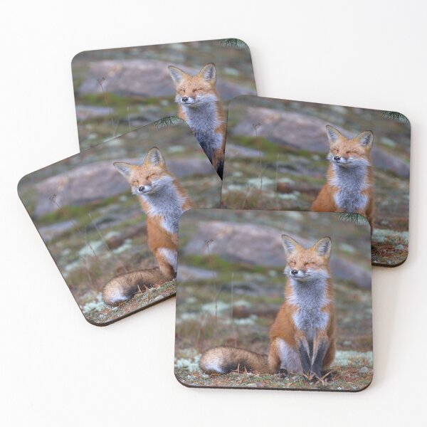 Artikelvorschau, Red Fox Zen - Algonquin Park, Kanada entworfen und verkauft von James Cumming.