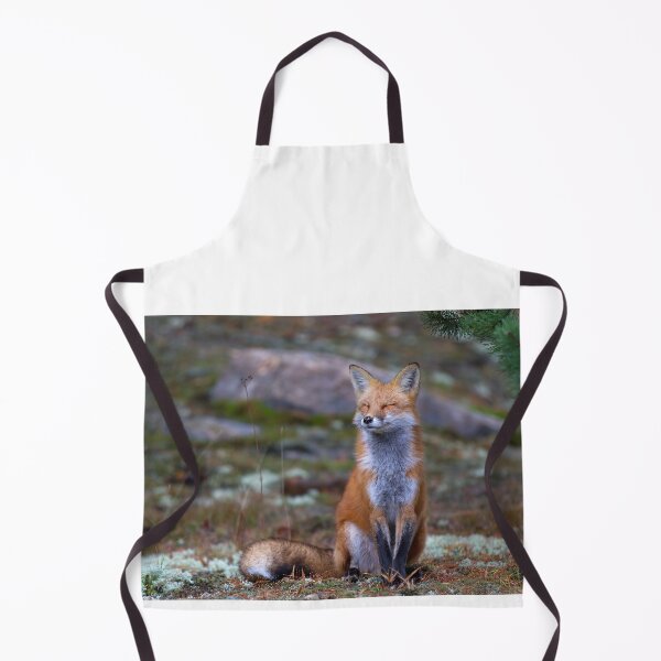 Item preview, Red Fox Zen - Algonquin Park, Canada designed and sold by James Cumming.