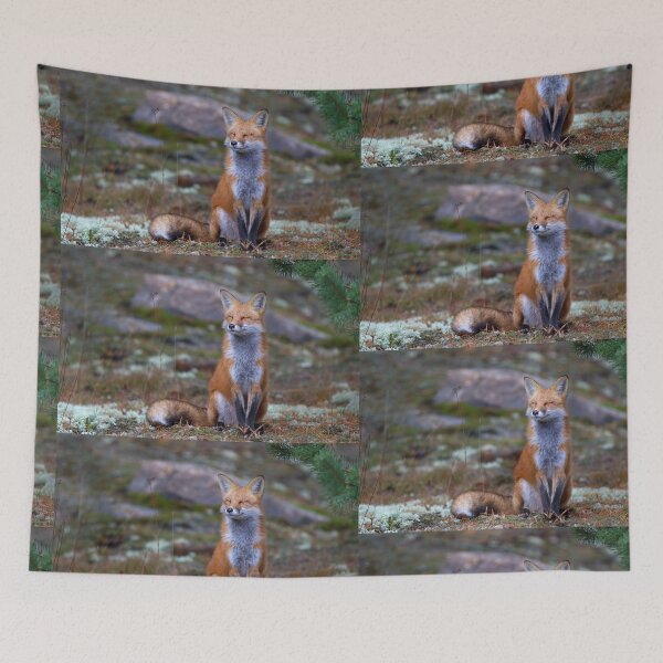 Item preview, Red Fox Zen - Algonquin Park, Canada designed and sold by James Cumming.