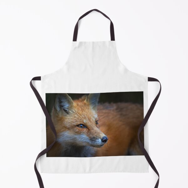 Item preview, Red Fox, Algonquin Park, Canada designed and sold by James Cumming.