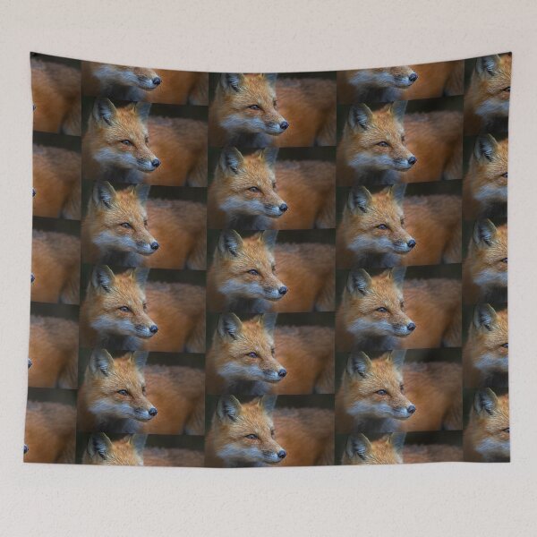 Item preview, Red Fox, Algonquin Park, Canada designed and sold by James Cumming.