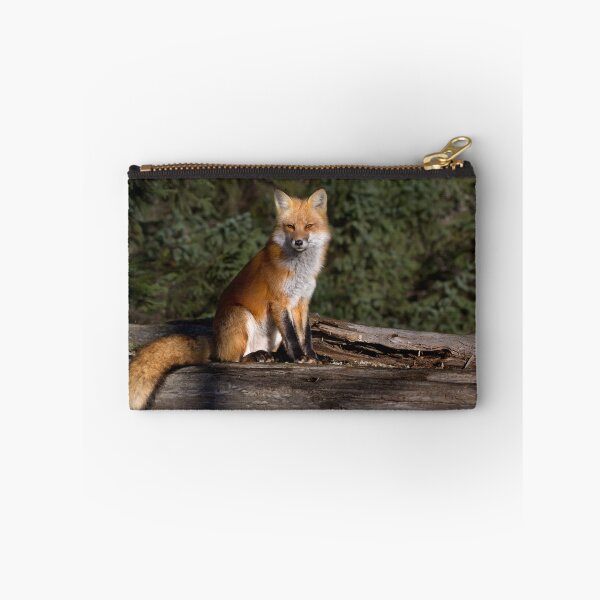 Item preview, Red Fox - Algonquin Park, Canada designed and sold by James Cumming.