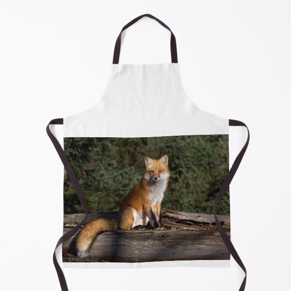 Item preview, Red Fox - Algonquin Park, Canada designed and sold by James Cumming.