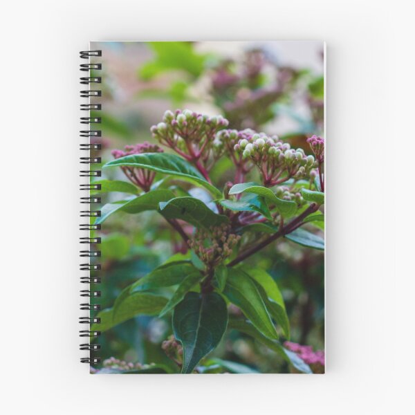 Item preview, Close-Up Of Green Leaves And Pink Flower Buds On Garden Shrub With Soft Bokeh Background designed and sold by Nmallia.