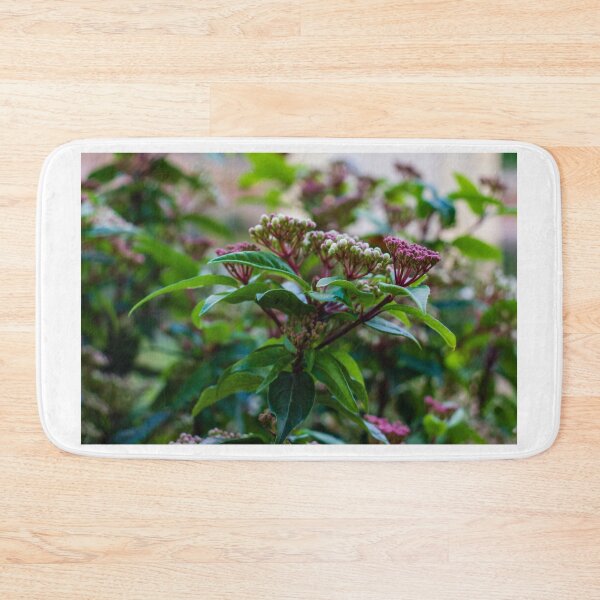 Item preview, Close-Up Of Green Leaves And Pink Flower Buds On Garden Shrub With Soft Bokeh Background designed and sold by Nmallia.