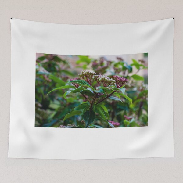 Item preview, Close-Up Of Green Leaves And Pink Flower Buds On Garden Shrub With Soft Bokeh Background designed and sold by Nmallia.