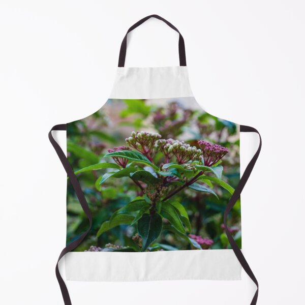Item preview, Close-Up Of Green Leaves And Pink Flower Buds On Garden Shrub With Soft Bokeh Background designed and sold by Nmallia.