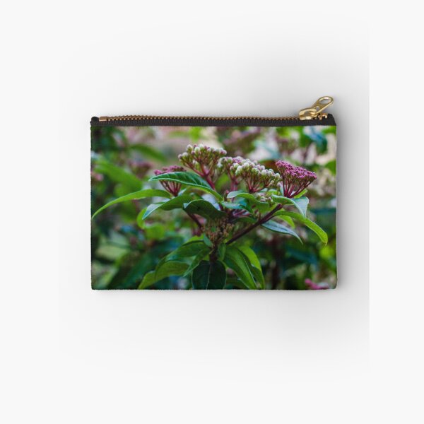 Item preview, Close-Up Of Green Leaves And Pink Flower Buds On Garden Shrub With Soft Bokeh Background designed and sold by Nmallia.