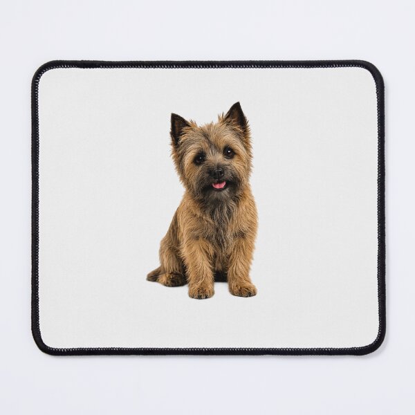 Item preview, Cairn terrier dog Toto designed and sold by BackgroundND.
