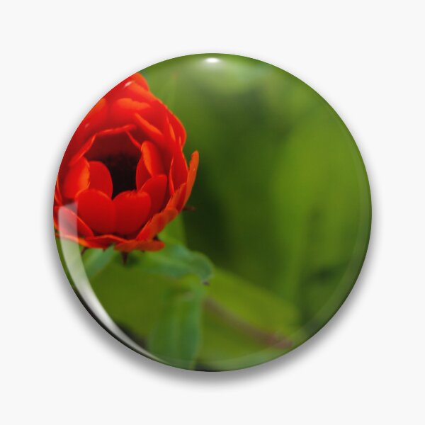 Item preview, Red Flower Close-Up Bloom With Vibrant Petals In Green Garden Macro Composition designed and sold by Nmallia.