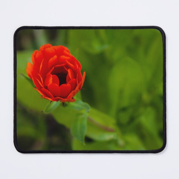 Item preview, Red Flower Close-Up Bloom With Vibrant Petals In Green Garden Macro Composition designed and sold by Nmallia.