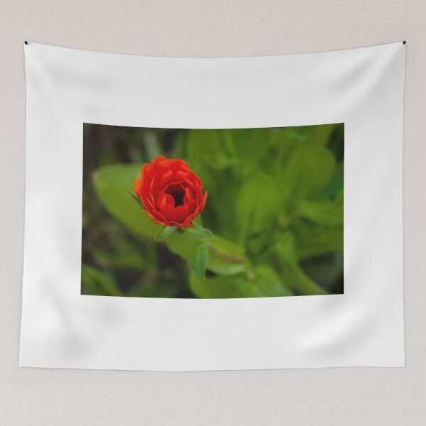 Item preview, Red Flower Close-Up Bloom With Vibrant Petals In Green Garden Macro Composition designed and sold by Nmallia.