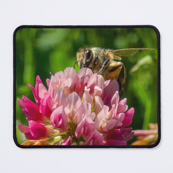 Item preview, Among the Clover — Red designed and sold by Feral Vibes.