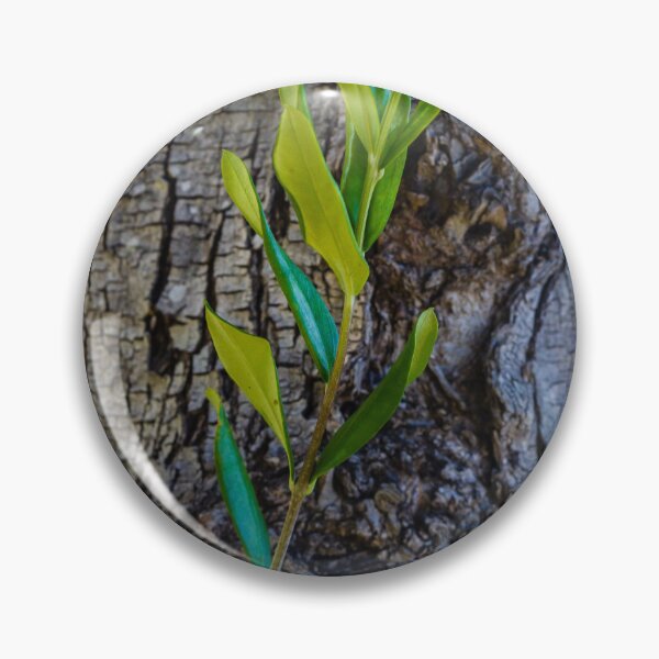 Item preview, Young Green Shoot Growing From Old Tree Trunk Showing New Growth And Resilience designed and sold by Nmallia.