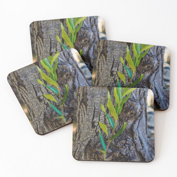 Item preview, Young Green Shoot Growing From Old Tree Trunk Showing New Growth And Resilience designed and sold by Nmallia.