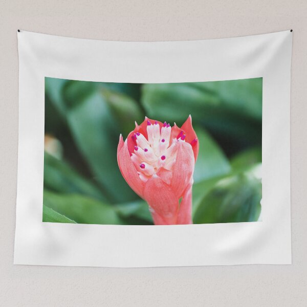 Item preview, Pink flower designed and sold by XaviFotografia.
