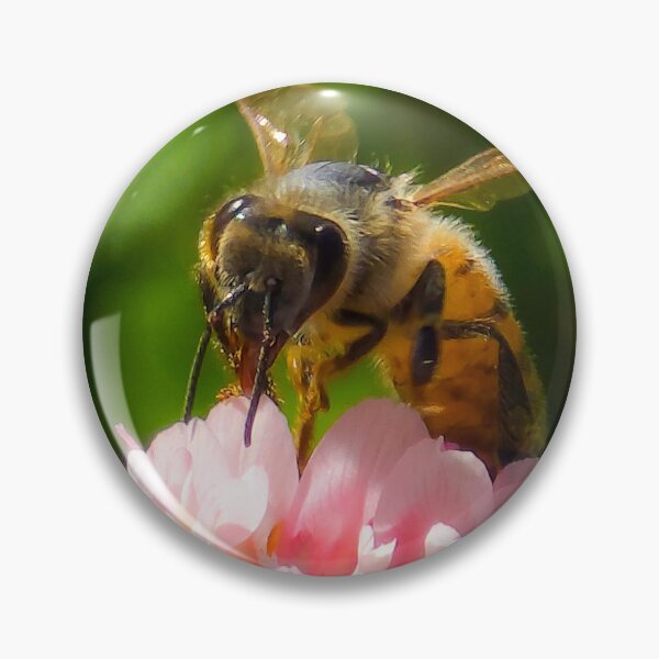 Item preview, Among the Clover — Proboscis designed and sold by Feral Vibes.