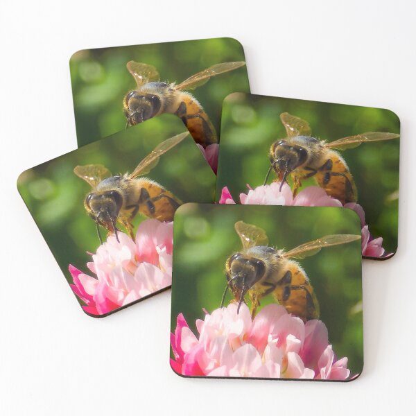 Item preview, Among the Clover — Proboscis designed and sold by Feral Vibes.