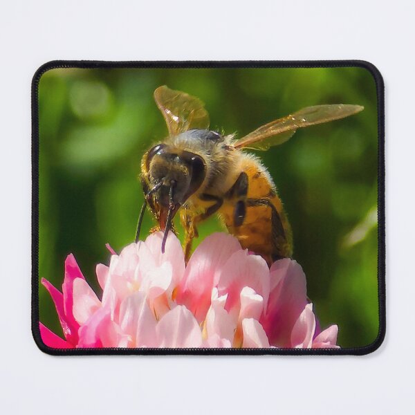 Item preview, Among the Clover — Proboscis designed and sold by Feral Vibes.