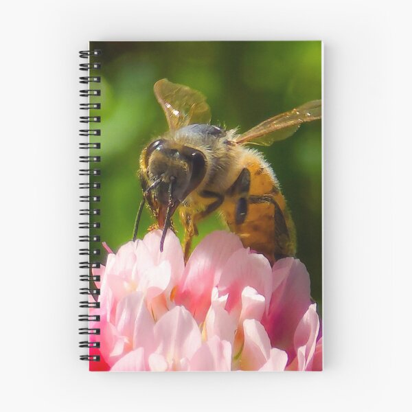 Item preview, Among the Clover — Proboscis designed and sold by Feral Vibes.