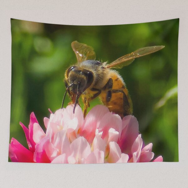 Item preview, Among the Clover — Proboscis designed and sold by Feral Vibes.